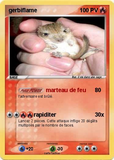 Pokemon gerbiflame
