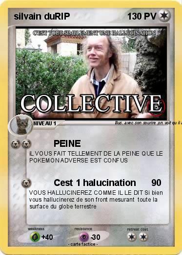 Pokemon silvain duRIP