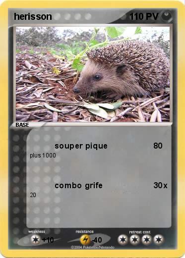 Pokemon herisson