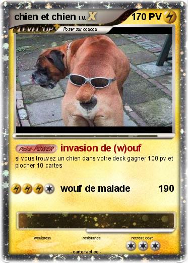 Pokemon chien et chien
