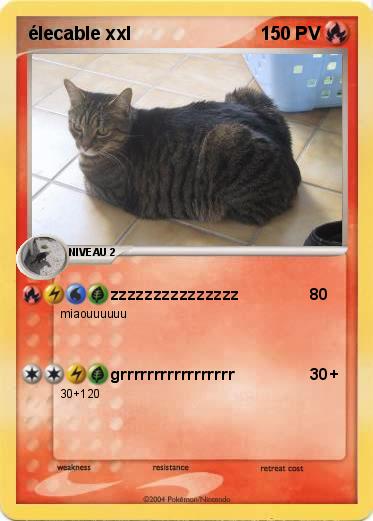 Pokemon élecable xxl