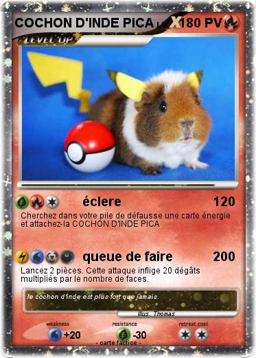 Pokemon COCHON D'INDE PICA