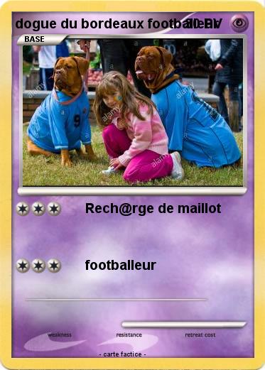 Pokemon dogue du bordeaux footballeur