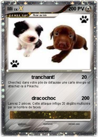 Pokemon lili