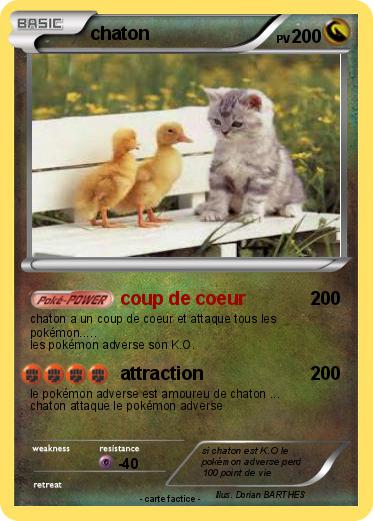 Pokemon chaton