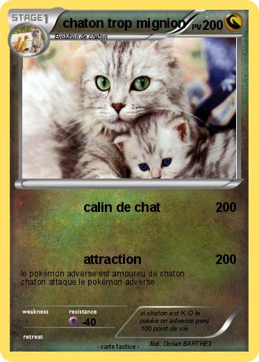 Pokemon chaton trop mignion