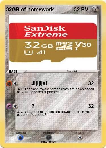 Pokemon 32GB of homework