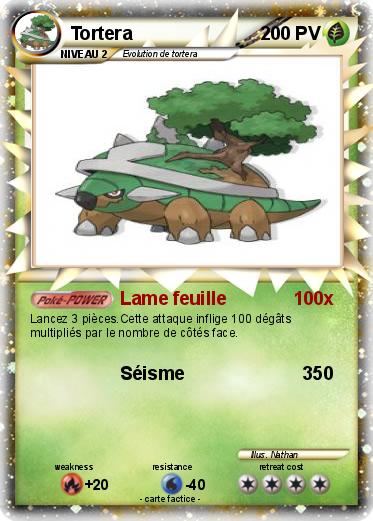 Pokemon Tortera