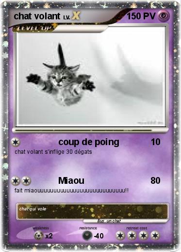 Pokemon chat volant