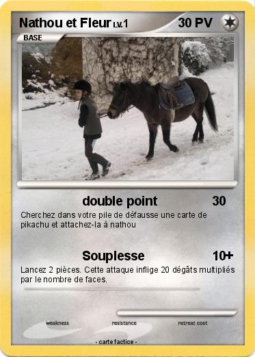 Pokemon Nathou et Fleur