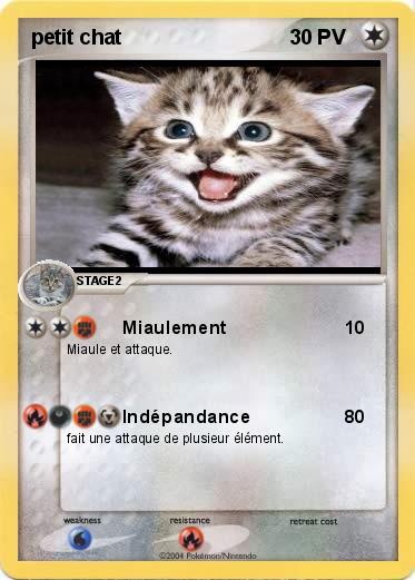 Pokemon petit chat
