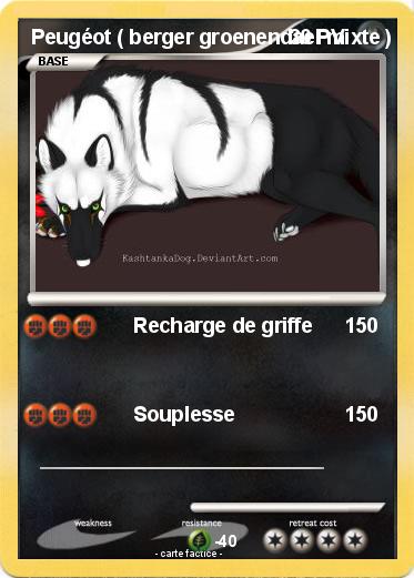 Pokemon Peugéot ( berger groenendael mixte )