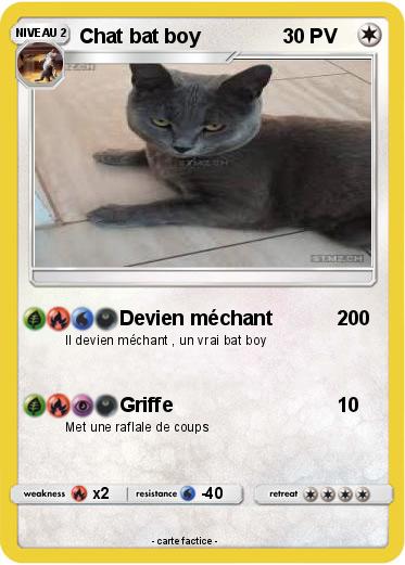 Pokemon Chat bat boy