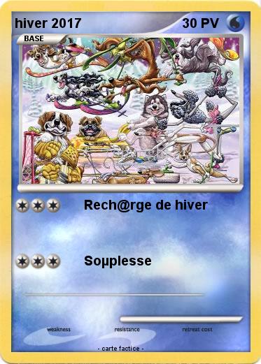 Pokemon hiver 2017