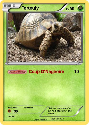 Pokemon Tortouly