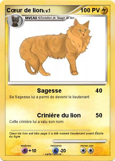 Pokemon Cœur de lion