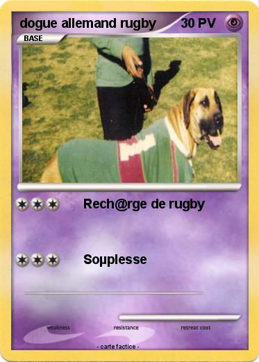 Pokemon dogue allemand rugby