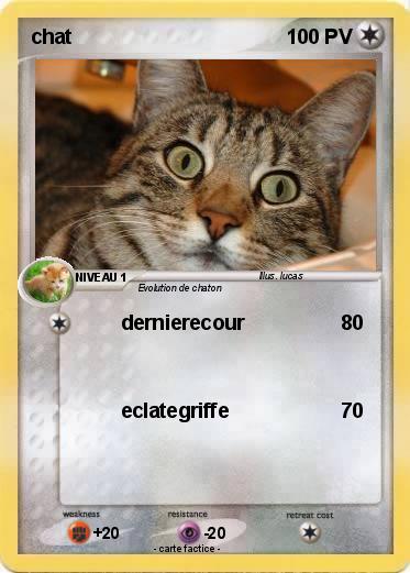 Pokemon chat