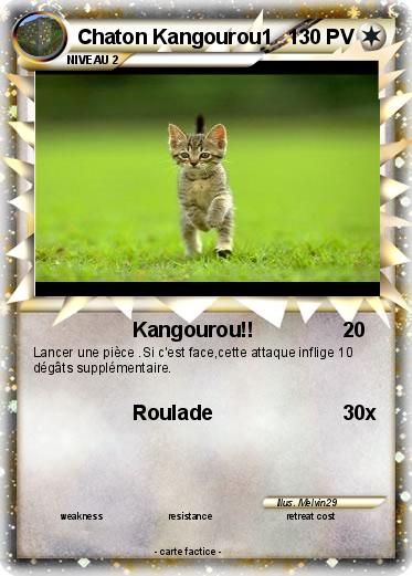 Pokemon Chaton Kangourou1