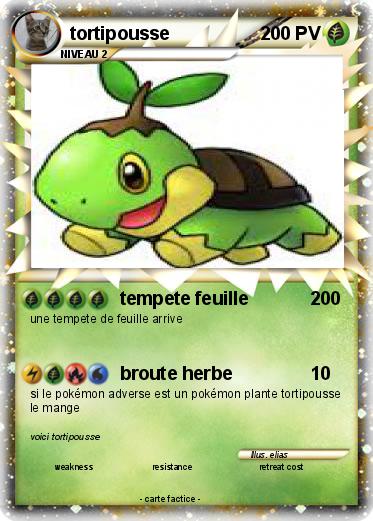 Pokemon tortipousse