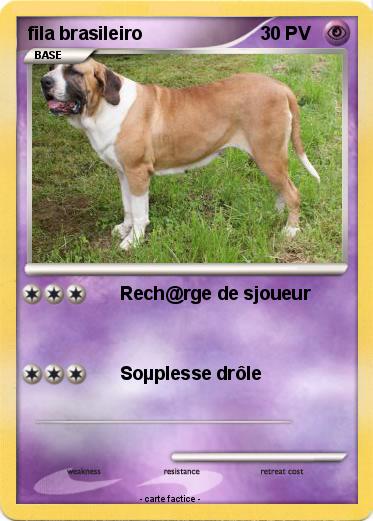 Pokemon fila brasileiro