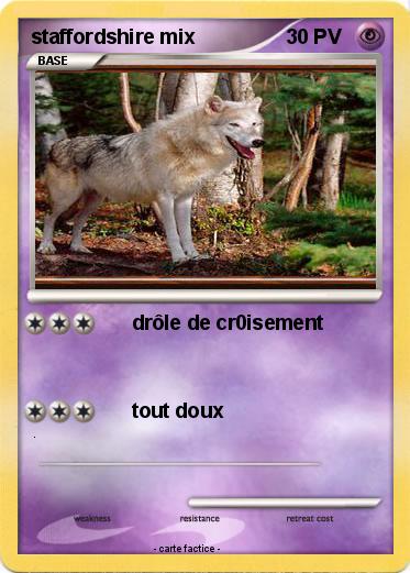 Pokemon staffordshire mix