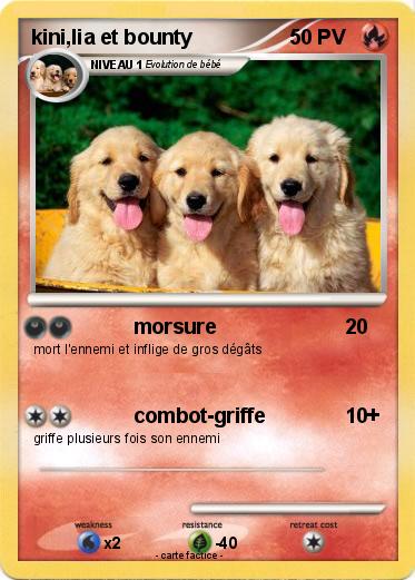 Pokemon kini,lia et bounty