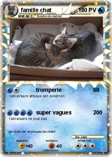 Pokemon famille chat
