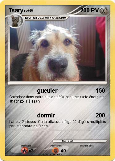 Pokemon Tsary