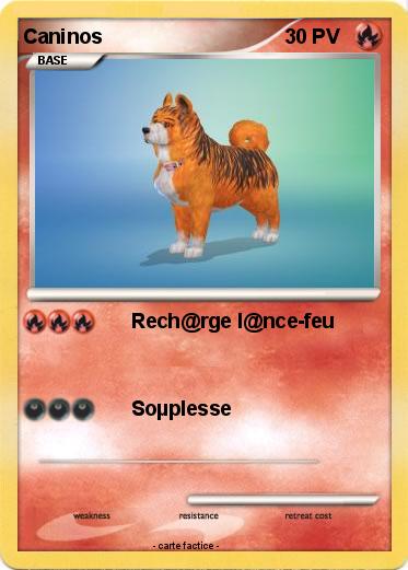 Pokemon Caninos