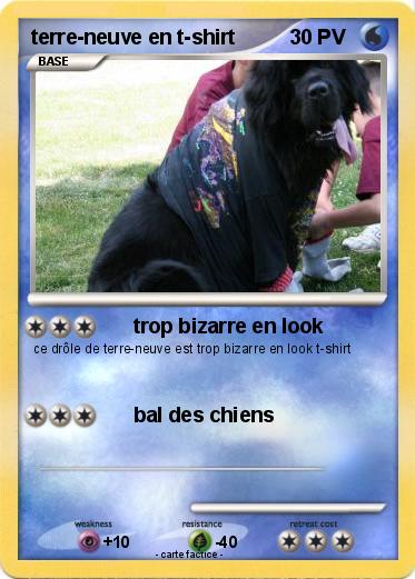 Pokemon terre-neuve en t-shirt