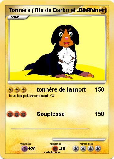 Pokemon Tonnère ( fils de Darko et Joachime )