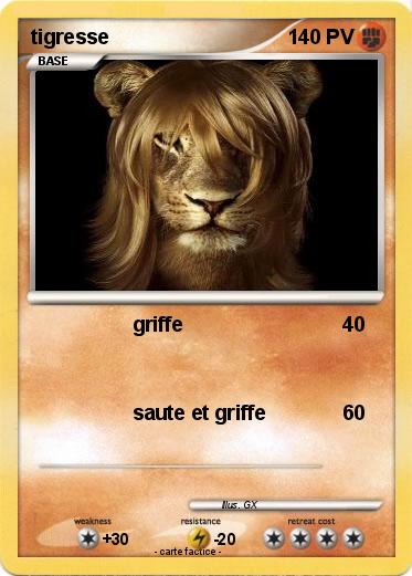 Pokemon tigresse