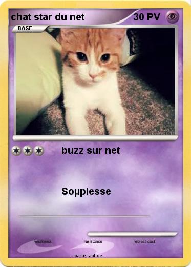 Pokemon chat star du net