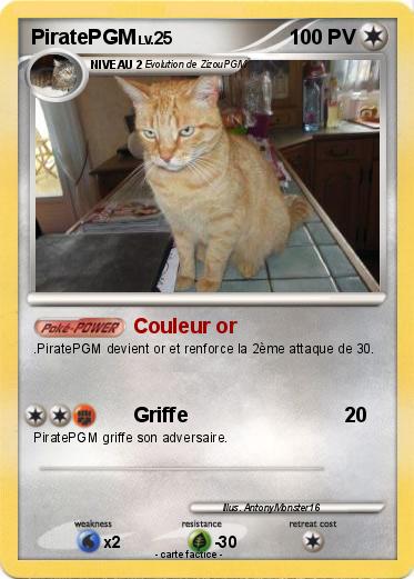 Pokemon PiratePGM