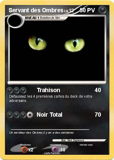 Pokemon Servant des Ombres