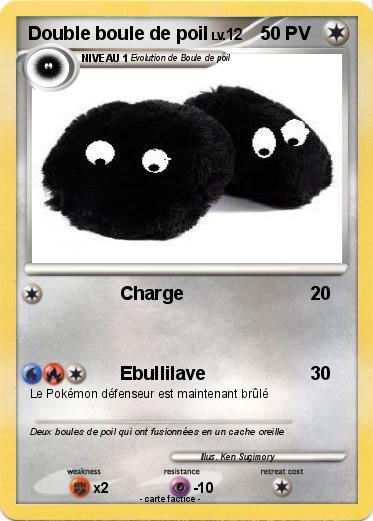 Pokemon Double boule de poil