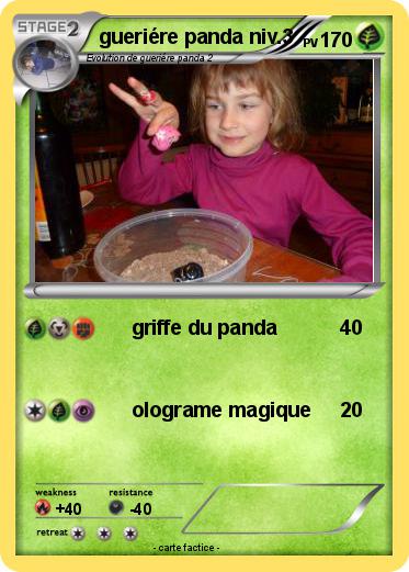 Pokemon gueriére panda niv.3