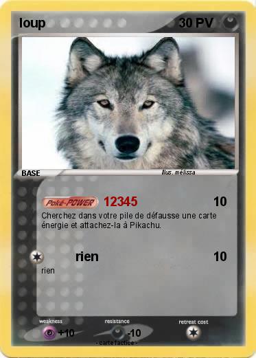 Pokemon loup