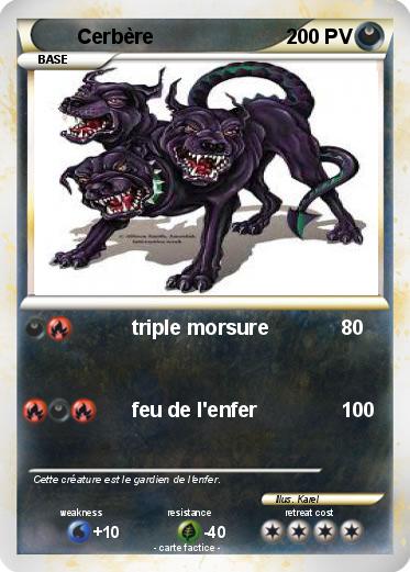 Pokemon Cerbère