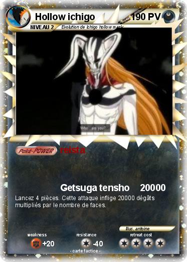 Pokemon Hollow ichigo