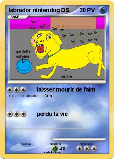 Pokemon labrador nintendog DS