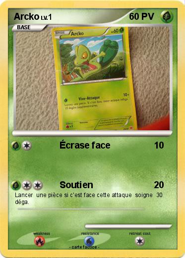 Pokemon Arcko