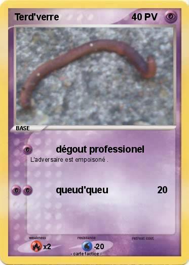 Pokemon Terd'verre