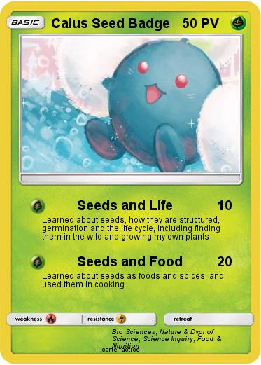 Pokemon Caius Seed Badge