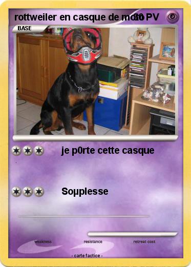 Pokemon rottweiler en casque de moto