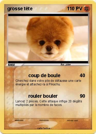 Pokemon grosse tête