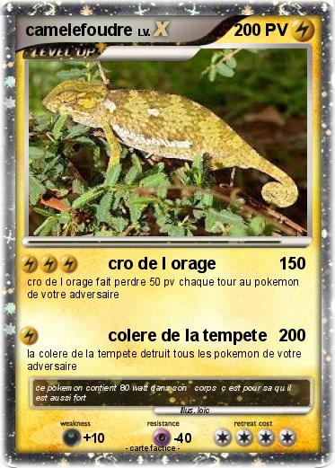Pokemon camelefoudre