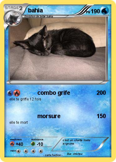 Pokemon bahia