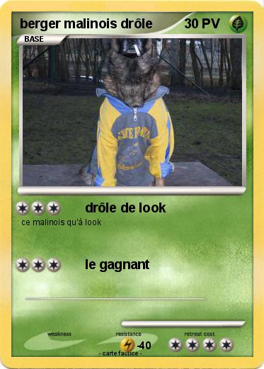 Pokemon berger malinois drôle